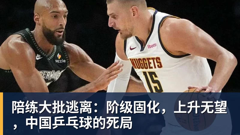 陪练大批逃离:阶级固化,上升无望,中国乒乓球的死局